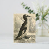 Great Auk : Carte postale imprimée de Vintage Jard (Debout devant)