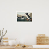Great Auk par Audubon Poster (Cuisine)