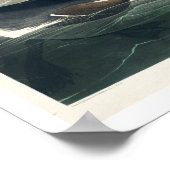 Great Auk par Audubon Poster (Coin)