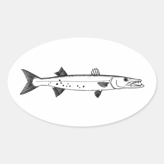Great Barracuda Logo Ovale Sticker (Voorkant)