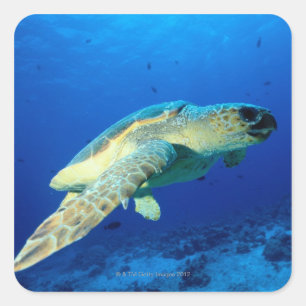 Great Barrier Reef, Australië 2 Vierkante Sticker
