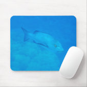 Great Barrier Reef Bohar Snapper Fish Muismat (Met muis)