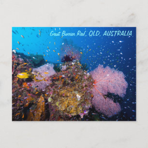Great Barrier Reef Briefkaart