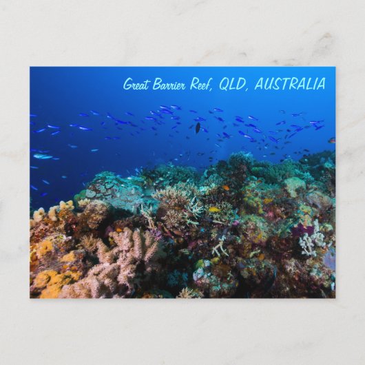 Great Barrier Reef Briefkaart (Voorkant)