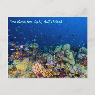 Great Barrier Reef Briefkaart