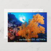 Great Barrier Reef Briefkaart (Voorkant / Achterkant)