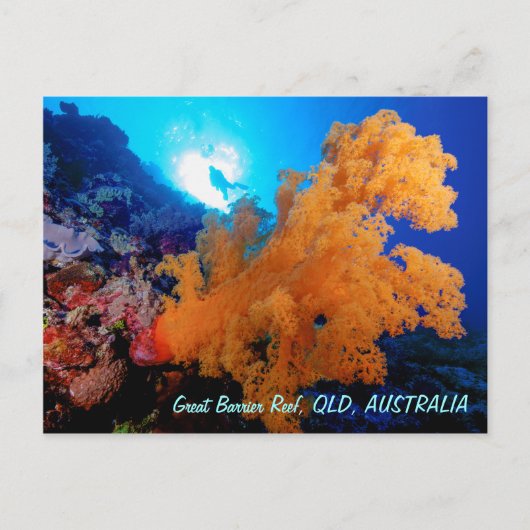 Great Barrier Reef Briefkaart (Voorkant)