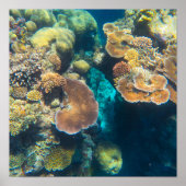Great Barrier Reef Coral - #3 Poster (Voorkant)
