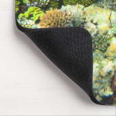 Great Barrier Reef Coral - #5 Muismat (Hoek)