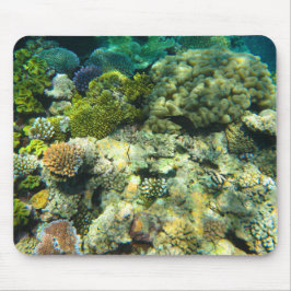 Great Barrier Reef Coral - #5 Muismat
