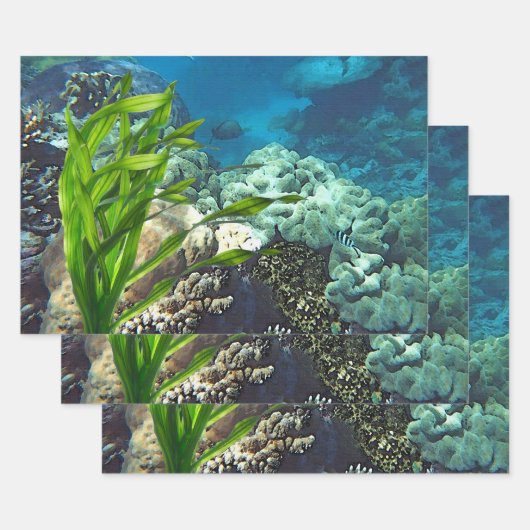 Great Barrier Reef Inpakpapier Vel (Set)