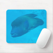 Great Barrier Reef Napoleon Wrasse Fish Muismat (Met muis)