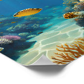 Great Barrier Reef Poster (Hoek)