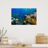 Great Barrier Reef Poster (Keuken)