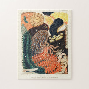 Great Barrier Reef Trepang of Bêche-de-Mer Legpuzzel