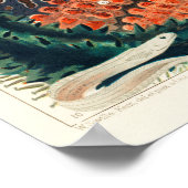  Great Barrier Reef Trepang of Bêche-de-Mer Poster (Hoek)