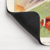  Great Barrier Reef van Australia Anemones Muismat (Hoek)