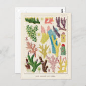  Great Barrier Reef van Australia Corals Briefkaart (Voorkant / Achterkant)