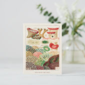  Great Barrier Reef van Australia Corals Briefkaart (Staand voorkant)