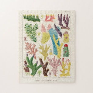 Great Barrier Reef van Australia Corals Legpuzzel