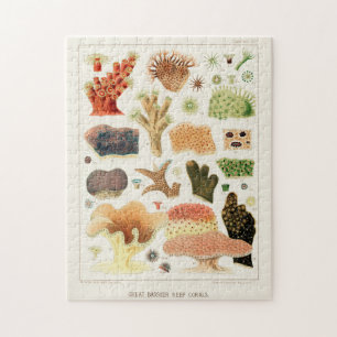 Great Barrier Reef van Australia Corals Legpuzzel