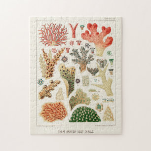 Great Barrier Reef van Australia Corals Legpuzzel