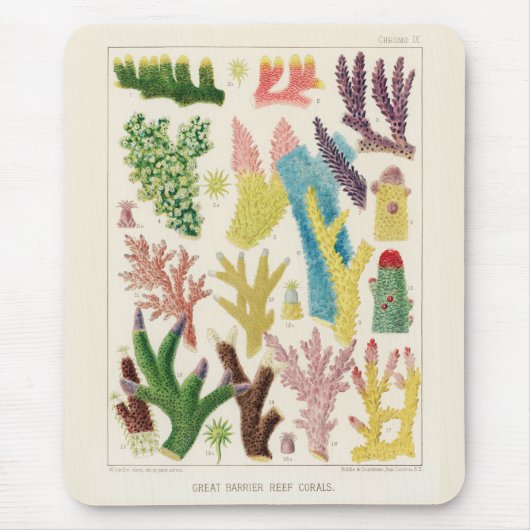 Great Barrier Reef van Australia Corals Muismat (Voorkant)