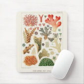  Great Barrier Reef van Australia Corals Muismat (Met muis)