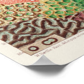 Great Barrier Reef van Australia Corals Poster (Hoek)