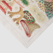  Great Barrier Reef van Australia Corals Tissuepapier (Detail)