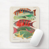  Great Barrier Reef van Australia Fishes Muismat (Met muis)