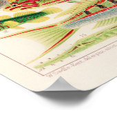 Great Barrier Reef van Australia Fishes Poster (Hoek)