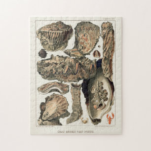 Great Barrier Reef van Australia Oysters Legpuzzel