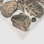  Great Barrier Reef van Australia Oysters Tissuepapier (Detail)