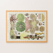 Great Barrier Reef van Australië Anemones Legpuzzel (Horizontaal)