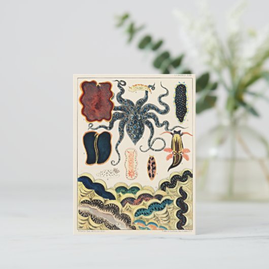 Great Barrier Reef van Australië Briefkaart (Staand voorkant)