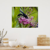 Great Black Wasp Poster (Keuken)