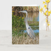 "Great Blue Heron 2." Wenskaart Kaart (Gele Bloem)