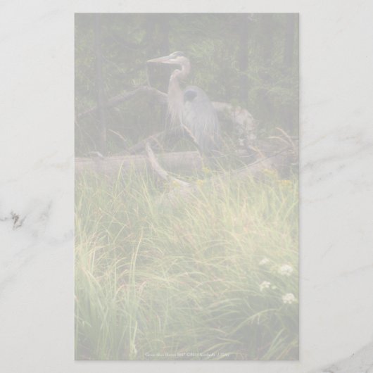 Great Blue Heron 8917 Briefpapier (Voorkant)