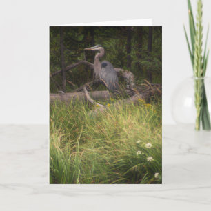 Great Blue Heron 8917 Kaart