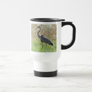 Great Blue Heron - Ardea herodias Reisbeker
