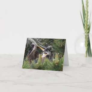 Great Blue Heron Baby Kaart