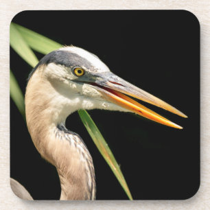 Great Blue Heron Bier Onderzetter