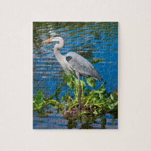 Great Blue Heron bij de Pond Puzzle Legpuzzel