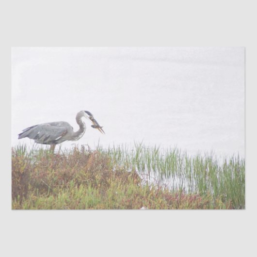Great Blue Heron Bird Willife Fish Tissue Paper Tissuepapier (Voorkant)
