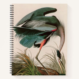 Great Blue Heron Birds of America Audubon Print Notitieboek