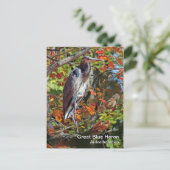 Great Blue Heron Briefkaart (Staand voorkant)