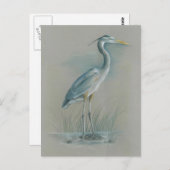 Great Blue Heron Briefkaart (Voorkant / Achterkant)
