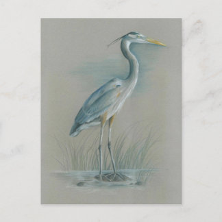 Great Blue Heron Briefkaart