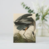 Great Blue Heron Briefkaart (Staand voorkant)
